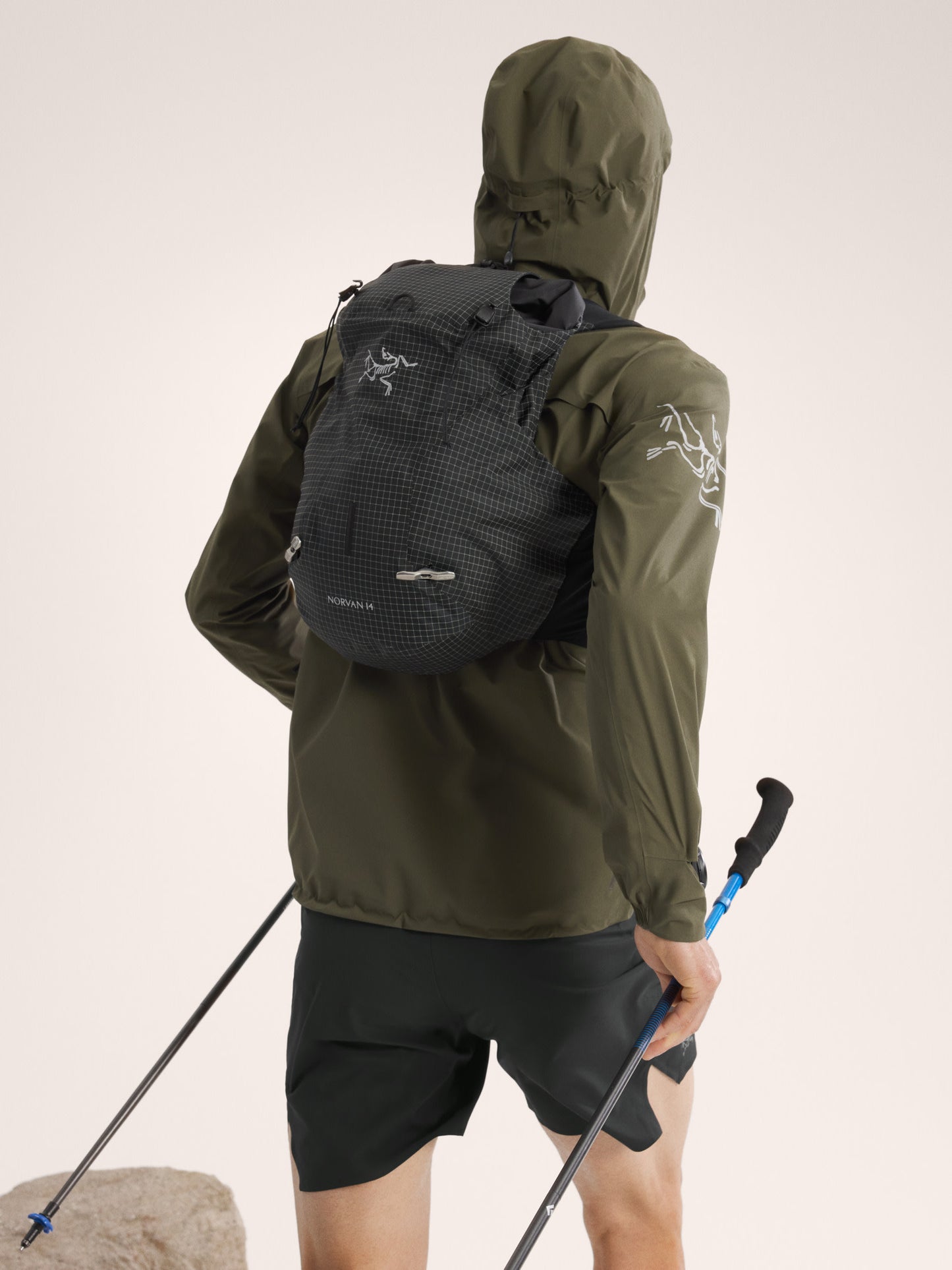 alt1