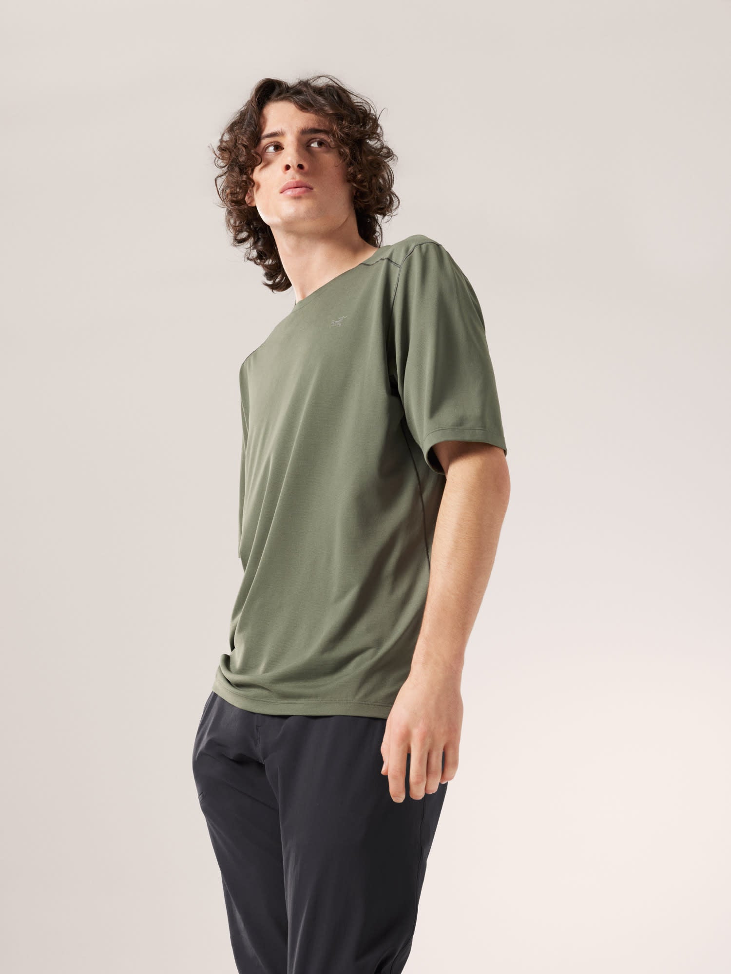 alt1