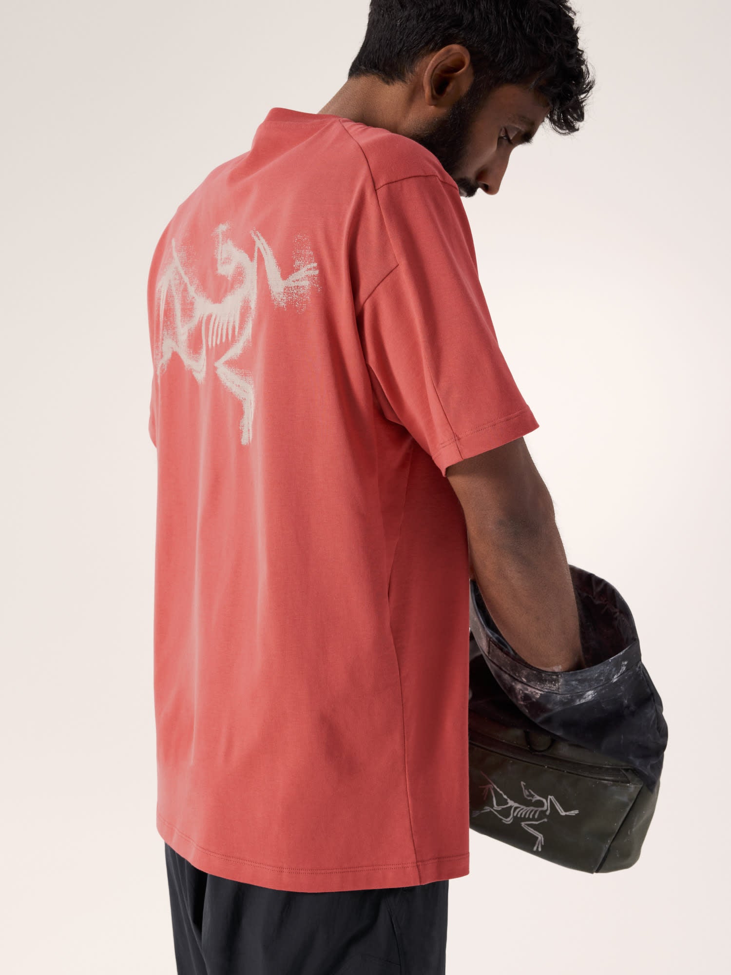 alt1
